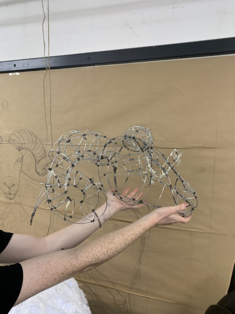 Wire frame of the head