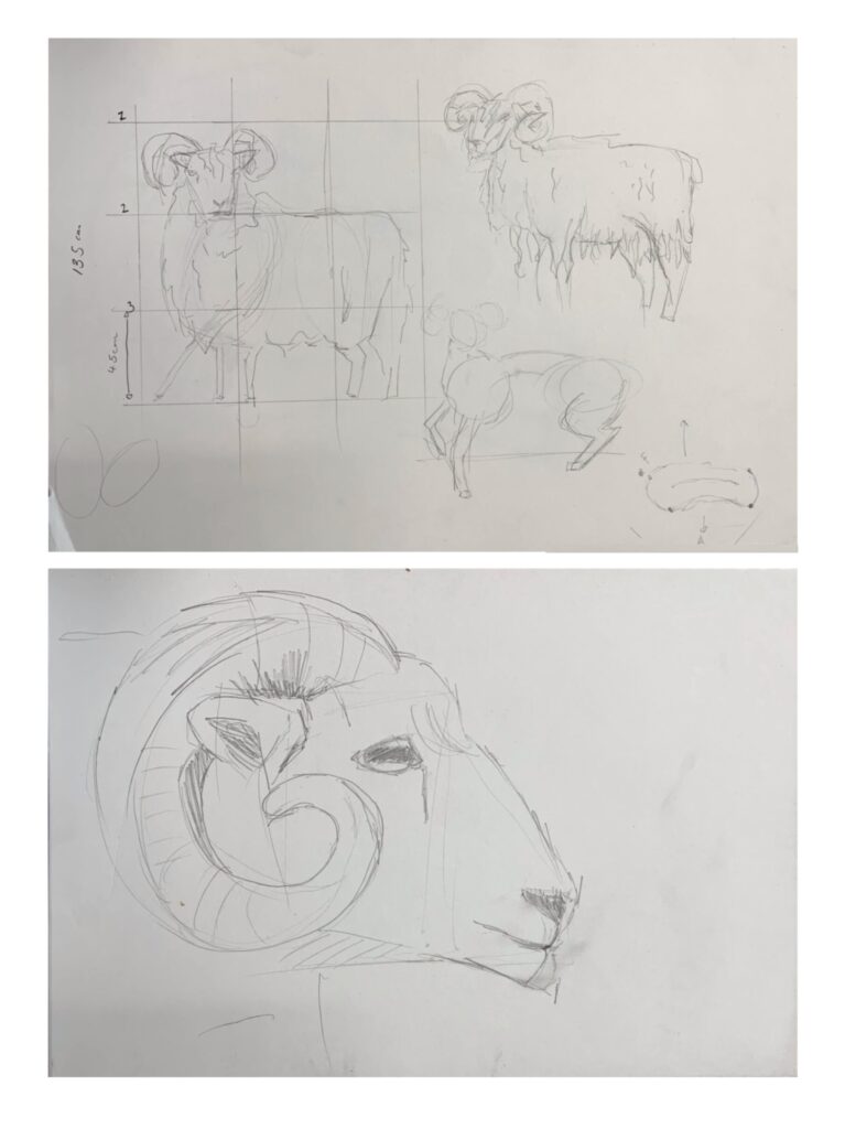 Developing ideas
